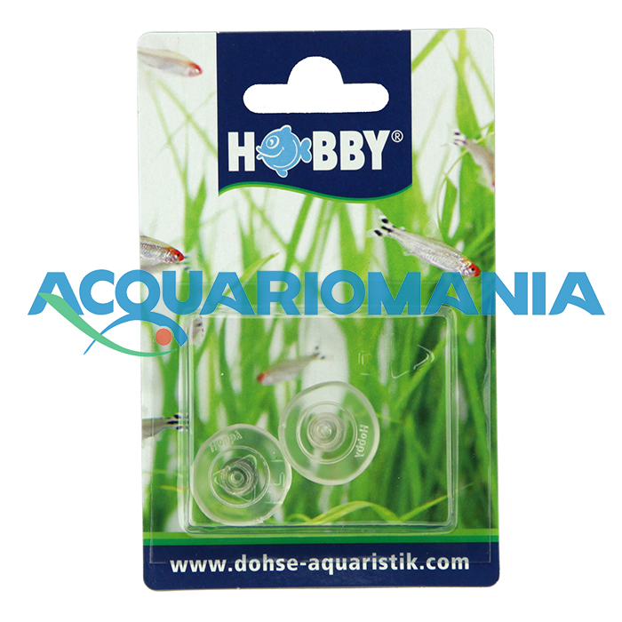 Hobby Ventosa con foro 2pz