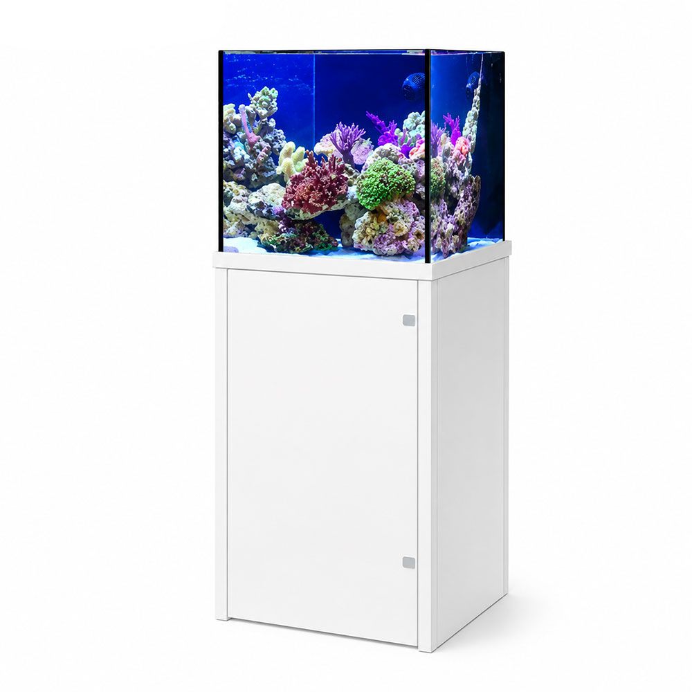 Genesi Acquario Marino Reef Plus Extrachiaro Completo con Sump e Supporto in Alluminio Bianco 45x45x45h cm