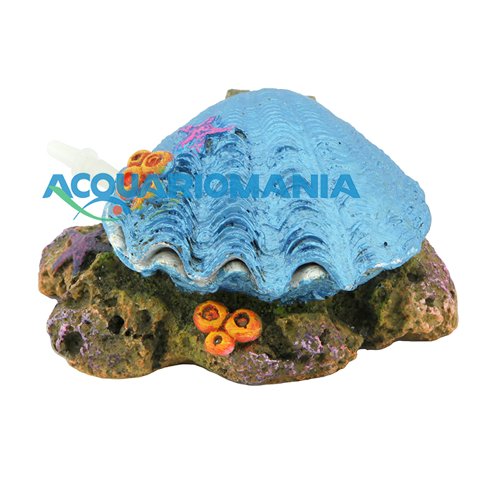 Amtra Conchiglia "Apri e chiudi" Blu con attacco per Areatore 10cm