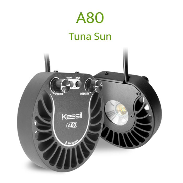 Kessil A80 Tuna Sun Lampada a Led per acquari d'acqua dolce 15W