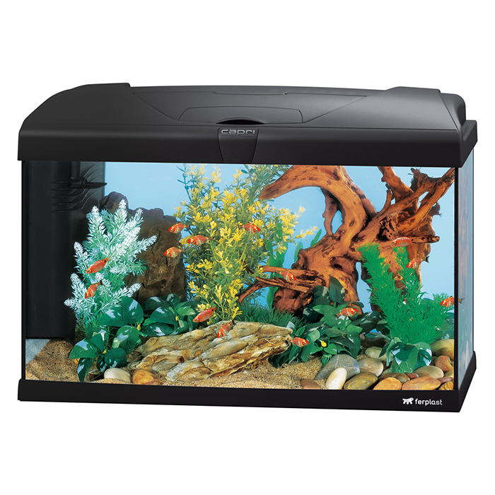 Ferplast Acquario Capri 60 Led Nero completo 60 Litri 60x31,5xh39,5 cm