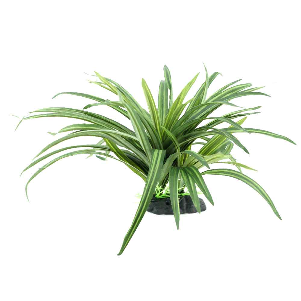 Blu Bios Pianta Dekor Variegated AF224956 H cm 25