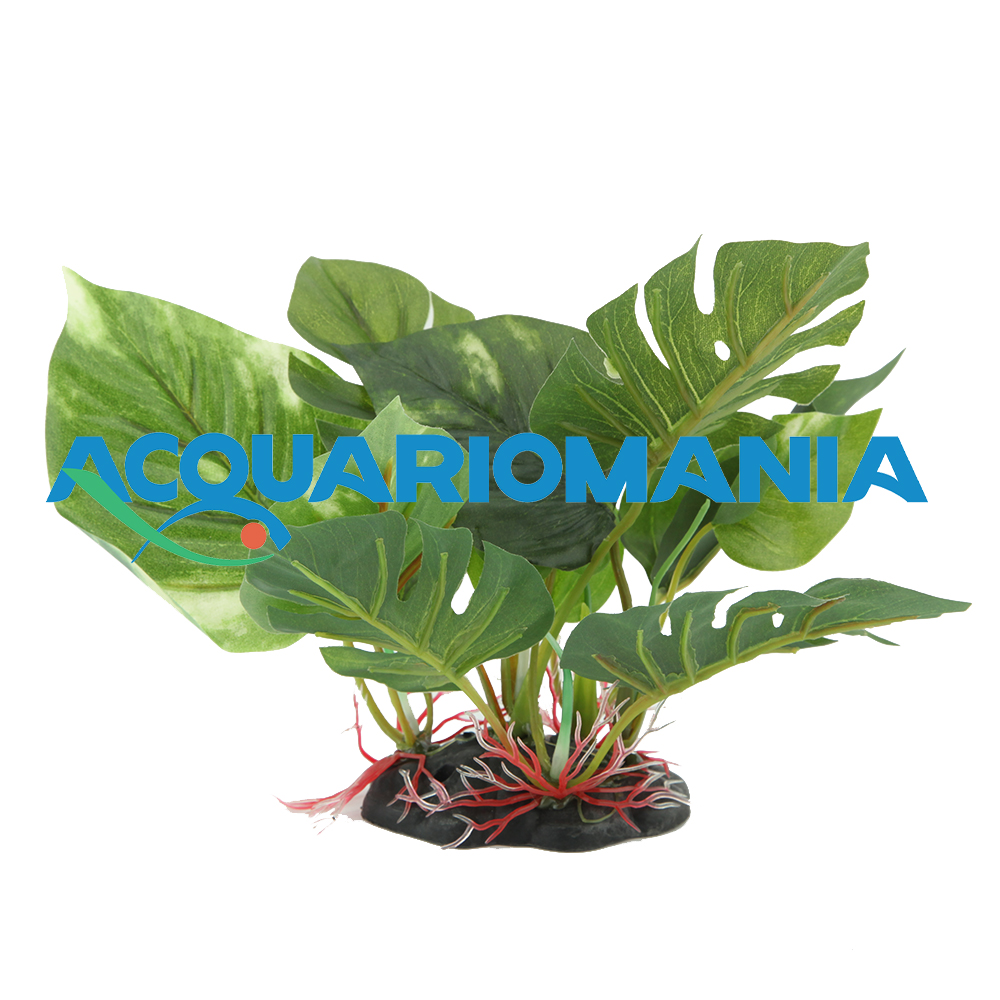 Amtra Pianta Anubias in plastica 15cm