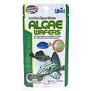 Hikari Algae Wafers per Pulitori e altri pesci vegetariani 40gr
