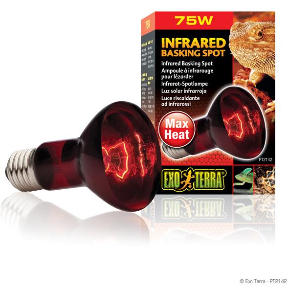 Exoterra Infrared Basking Spot Luce riscaldante ad Infrarossi 75W