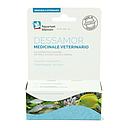 Aquarium Munster Dessamor Medicinale Veterinario 100ml per 2000lt