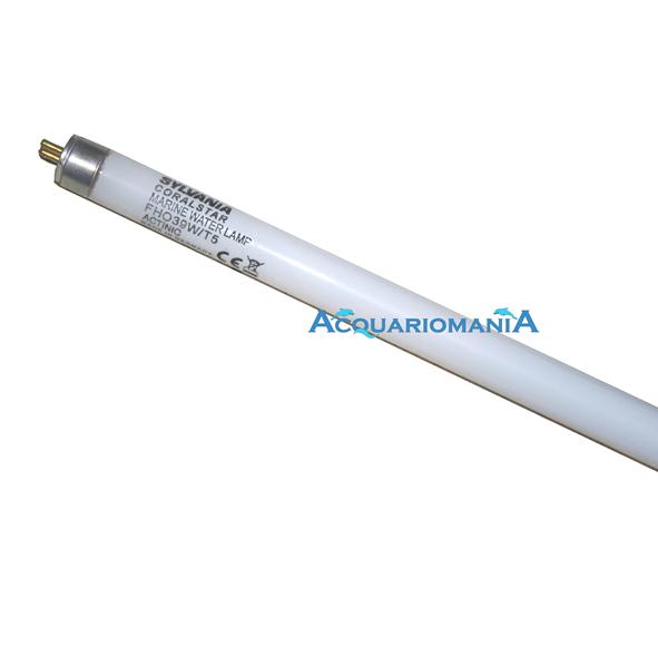 Sylvania Coral Star Lampada T5 Neon Marino attinica 24W 550mm