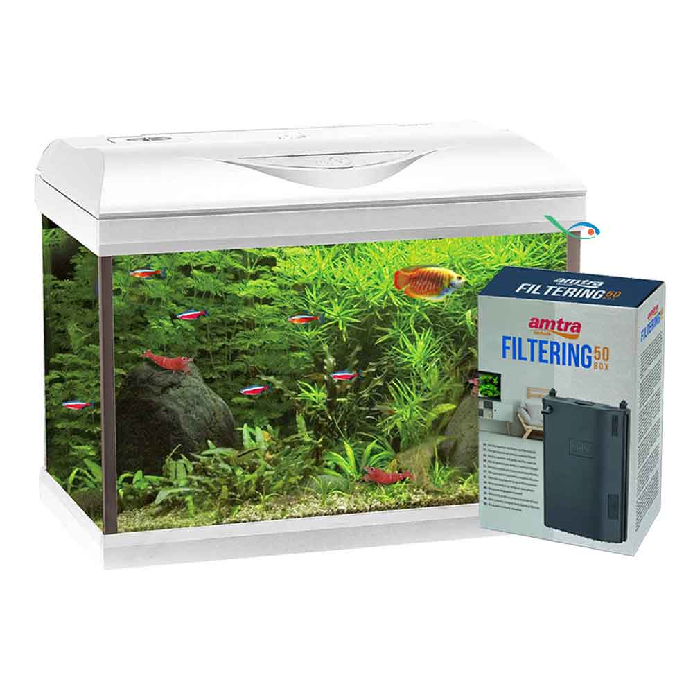 Amtra Basic 40 Acquario Led Bianco co Filtering Box 50 25lt 42,5x23,5x33h cm