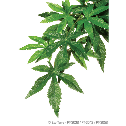 Exoterra Plant Abutilon Hanging large