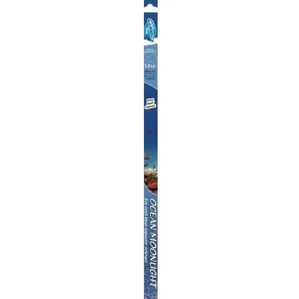 Arcadia Classica Ocean Moonlight 36W T8 1200mm