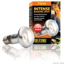 Exoterra Intense Basking Spot 75W Luce concentrata ad alta intensità