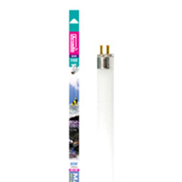 Arcadia Marine Hybrid T5 24W 55cm