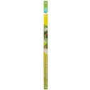 Arcadia Classica Natural Daylight 36W T8 1200mm