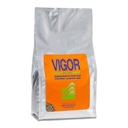 Equo Vigor Substrato fertile ricco di nutrienti 1lt per acquari di circa 30lt