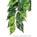 Exoterra Plant Ficus Hanging medium