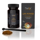 Nyos LPS Power Granulato morbido per coralli 35 g