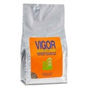 Equo Vigor Substrato fertile ricco di nutrienti 5lt per acquari di circa 100lt