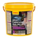 Sera Adult Carnivore Duo Pellets Professional Turtle per Tartarughe d'acqua 10l 3,4Kg