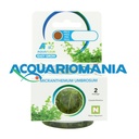Aquafleur Easy Grow Pianta Micranhemum Umbrosum in Vitro Cup