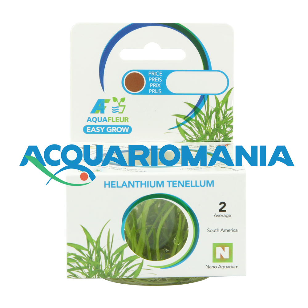 Aquafleur Easy Grow Pianta Helianthium Tenellum in Vitro Cup