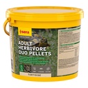 Sera Tortoise Adult Herbivore Duo Pellets per Tartarughe di Terra 3800ml 1Kgg