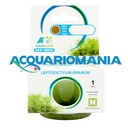 Aquafleur Easy Grow Pianta Leptodictyum Riparum in Vitro Cup
