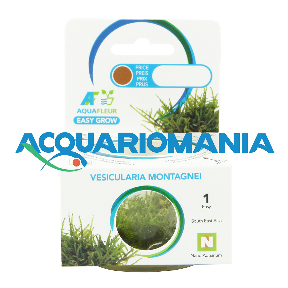 Aquafleur Easy Grow Pianta Vesicularia Montagnei in Vitro Cup