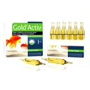 Prodibio Gold'Activ 12 Fiale Biocondizionatore acqua fredda per 360 l