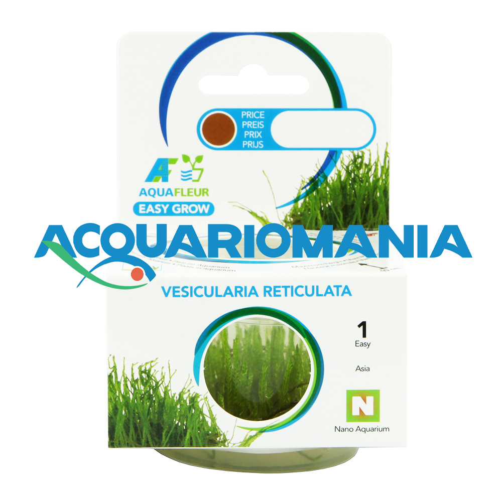 Aquafleur Easy Grow Pianta Vesicularia Reticulata in Vitro Cup