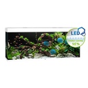 Juwel Acquario Rio 450 Litri LED Bianco 151x51x66H cm