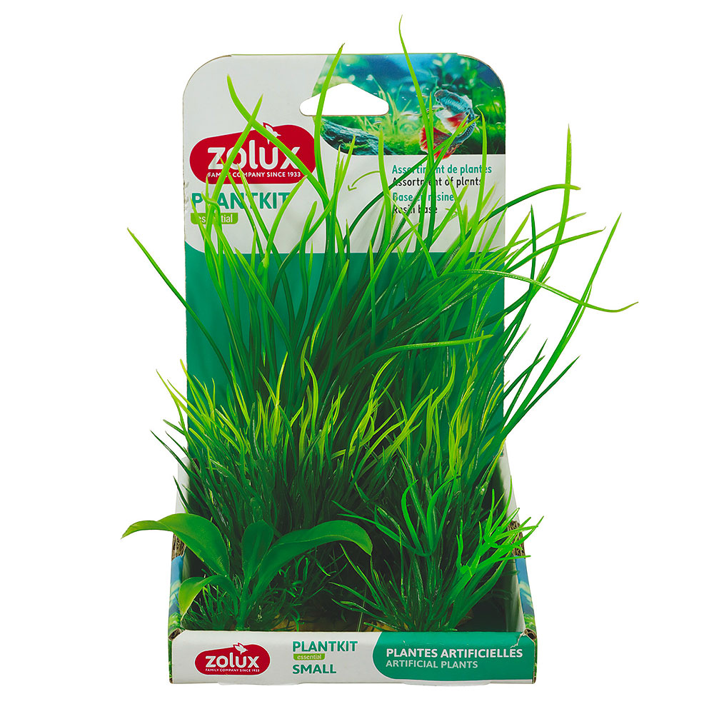 Zolux PlantKit Small 1 Assortimento 3 Piantine in plastica