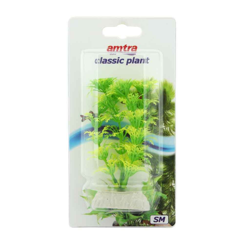 Amtra Classic Plant Pianta Cabomba Small in plastica 10cm