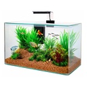 Zolux Acquario Aqua Clear 40 Nero 40x20x25h cm 17 Litri
