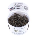 Tropica 1•2•Grow! Pianta Bucephalandra "Kedagang" in Vitro Cup