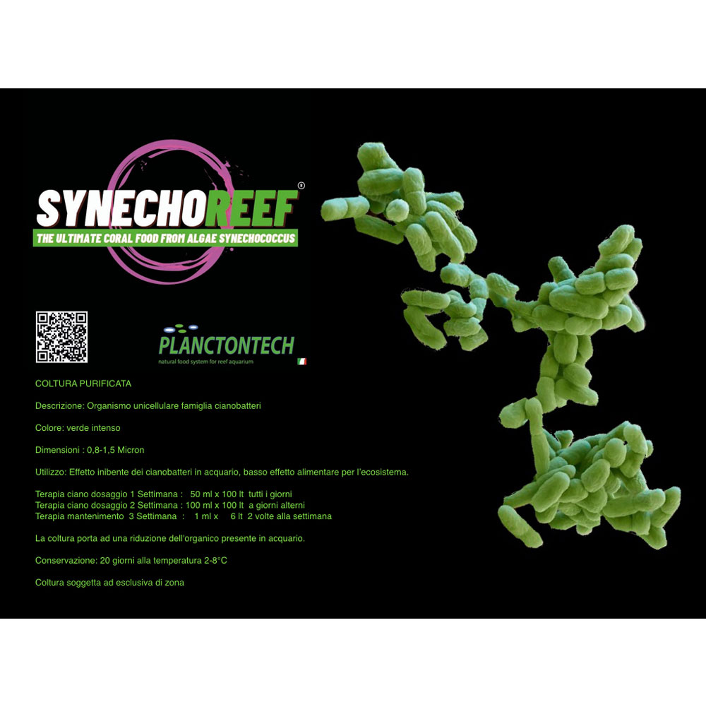 Planctontech Synecho Reef NEW Fitoplancton Vivo contro i Cianobatteri  in bottiglietta 250ml