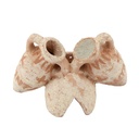 Zolux Anfore con Diffusore Nano