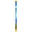 Sera LED X-Change Tube Daylight Sunrise 1420 (sostituisce il 58W T8 e 80W T5) 28W 1420mm