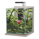 Zolux Jalaya XL Acquario Zebrano grigio 18,7 litri