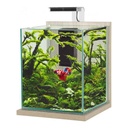 Zolux Jalaya XXL Acquario Zebrano grigio 31,5 litri