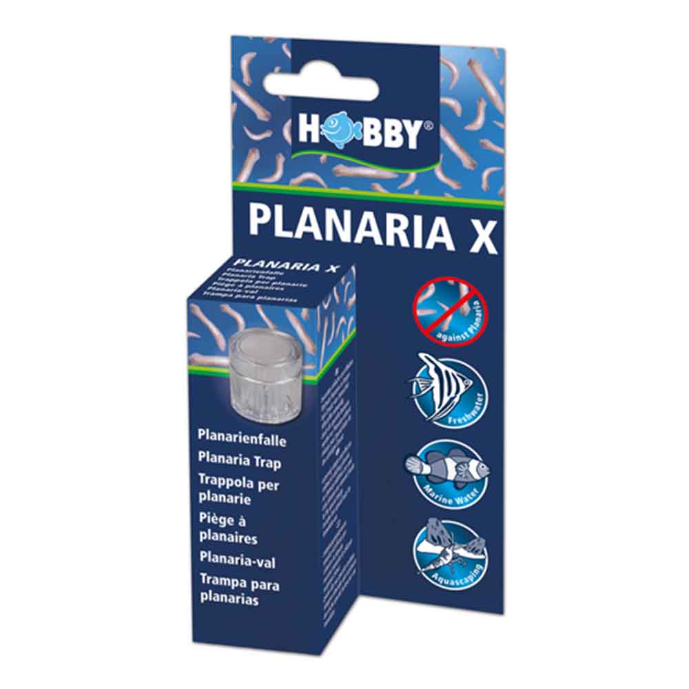 Hobby Planaria X Trappola Planarie