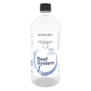 Oceanlife Reef System I Ca Sr Mg Br Li Zn K I Fe V 1000ml