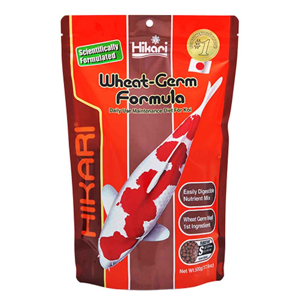 Hikari Wheat-Germ Formula dieta mantenimento per Koi Medium 500g