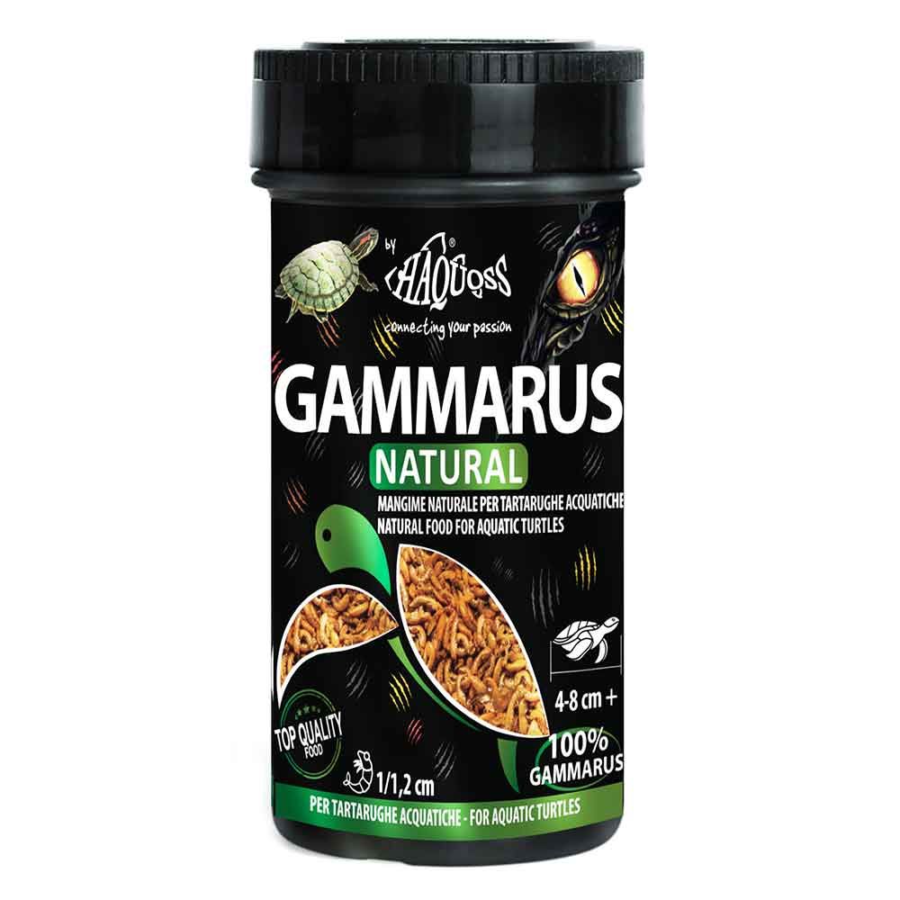 Haquoss Gammarus Natural Gamberetti per Tartarughe 1000ml 100gr