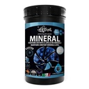 Haquoss Mineral Booster 3 in 1 mantiene costante i Minerali nel Marino 500ml 500gr