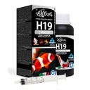 Haquoss H19 Cyano M Rimuove i Cianobatteri per 500/1000 Litri 100ml