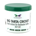 Nutrinsect Big Tarta Cricket Grilli essiccati 50gr