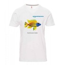 T-Shirt Uomo Aulonocara maleri Bianca Taglia L Cotone 100%