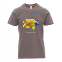 T-Shirt Uomo Aulonocara maleri Grigio Taglia M Cotone 100%