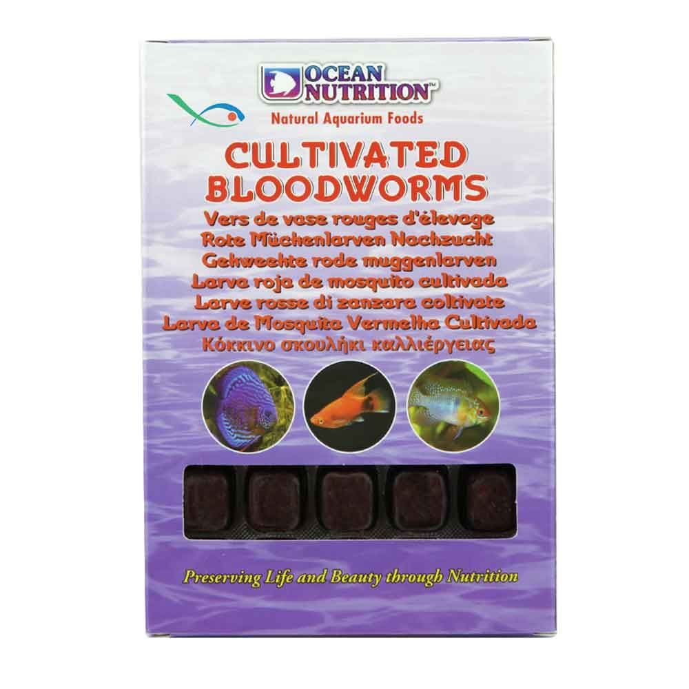 Ocean Nutrition Cultivated Bloodworm Chironomus mangime congelato 100g