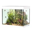 Askoll Opera 110 Acquario completo 110 litri Bianco 60x40x50h cm
